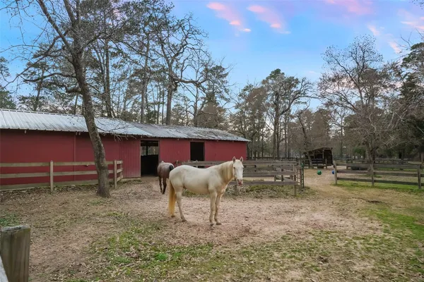 $735,000 | 26000 Pine Shadows Drive, Hockley, TX 77447