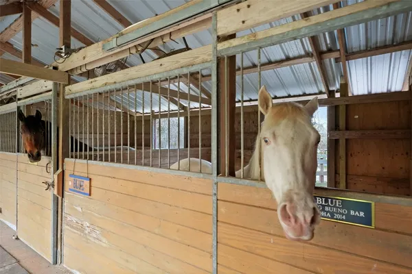 $735,000 | 26000 Pine Shadows Drive, Hockley, TX 77447