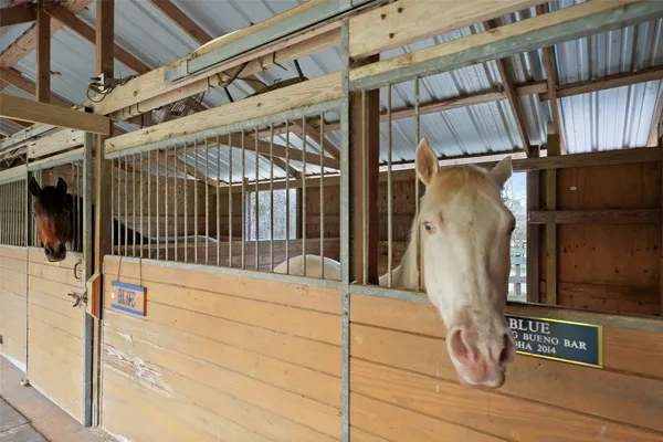 a view of outdoor space with deck and yard