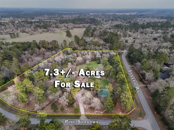 $735,000 | 26000 Pine Shadows Drive, Hockley, TX 77447