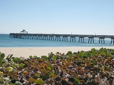 1901 South Ocean Boulevard, Unit 302 Boca Raton, FL 33432 - Photo 39 of 40 Deerfield Pier