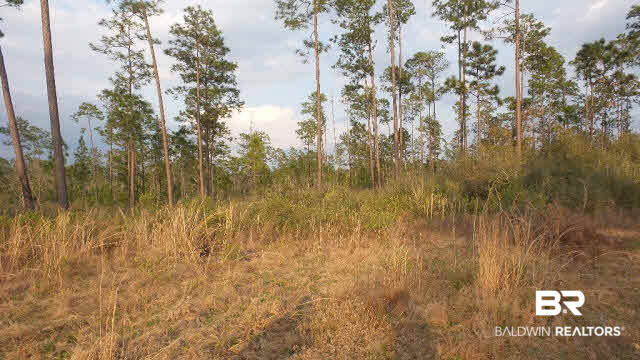 0 Lewis Road Titusville, FL 32796 - Photo 10 of 12 Gallery Image 10