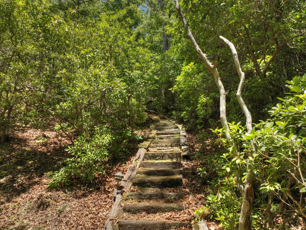438 Ridge Road Blairsville, GA 30512 - Photo 36 of 42 Gallery Image 36