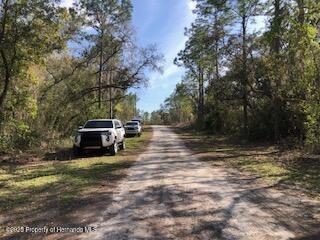 Lot 13 Colonel Avenue Webster, FL 33597 - Photo 4 of 8