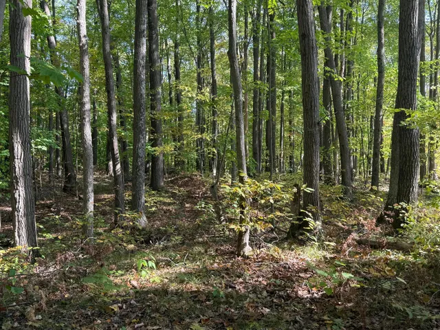 $89,900 | Tbd2 Deep Lake Road, Sarona, WI 54870