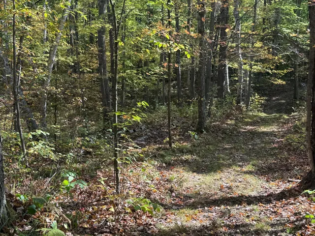 $89,900 | Tbd2 Deep Lake Road, Sarona, WI 54870