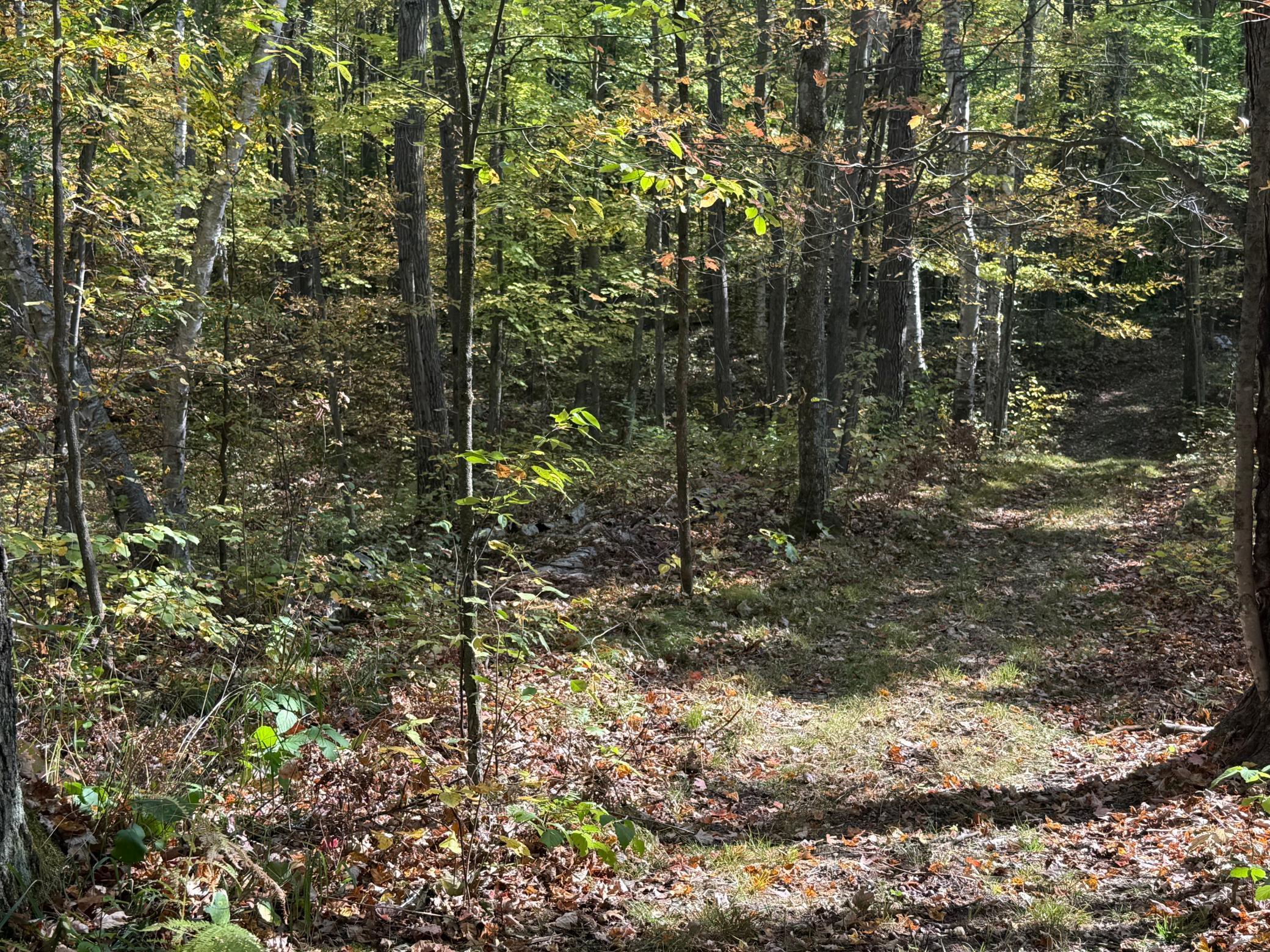 Tbd2 Deep Lake Road Sarona, WI 54870 - Photo 11 of 14