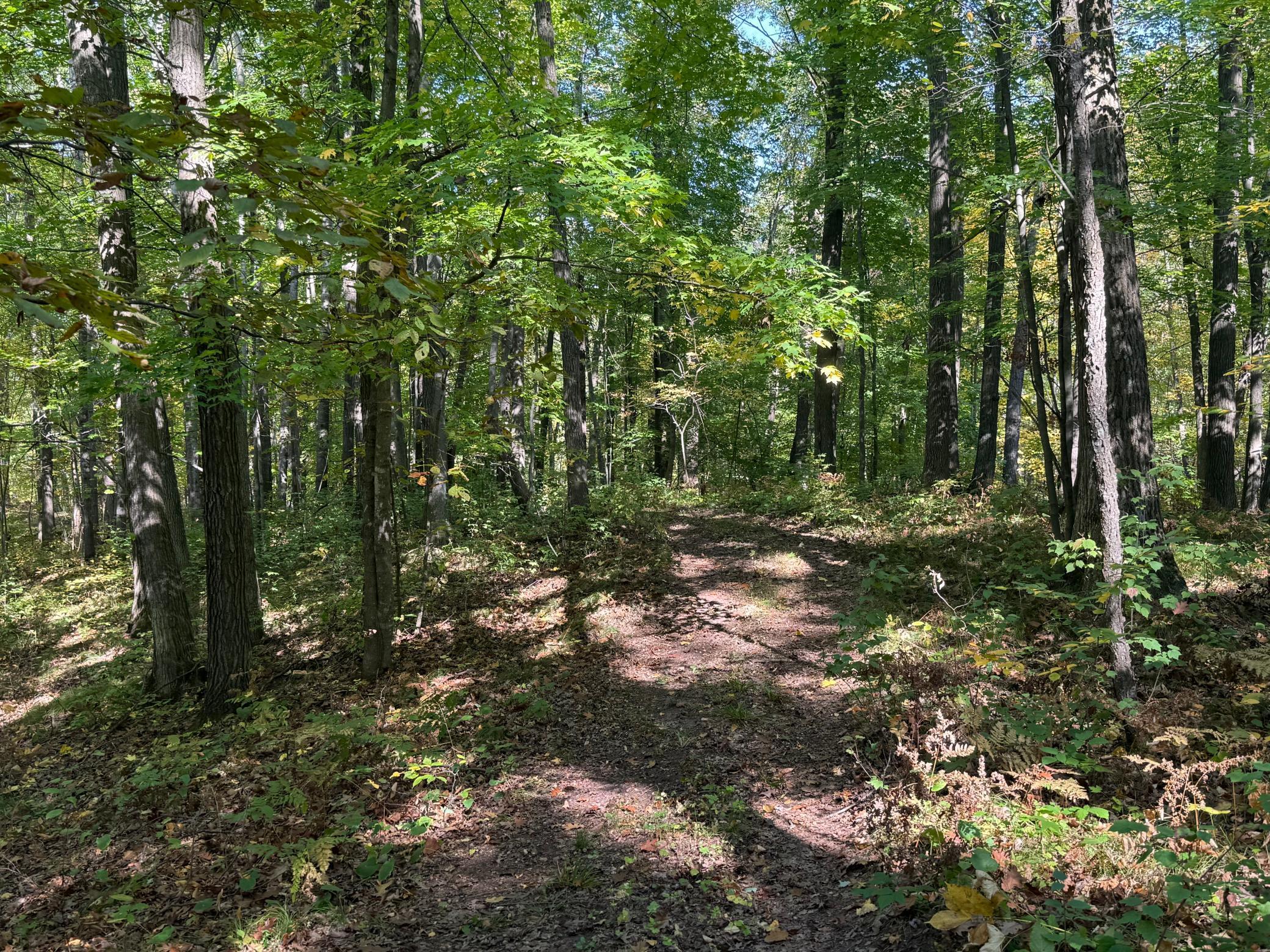 Tbd2 Deep Lake Road Sarona, WI 54870 - Photo 12 of 14