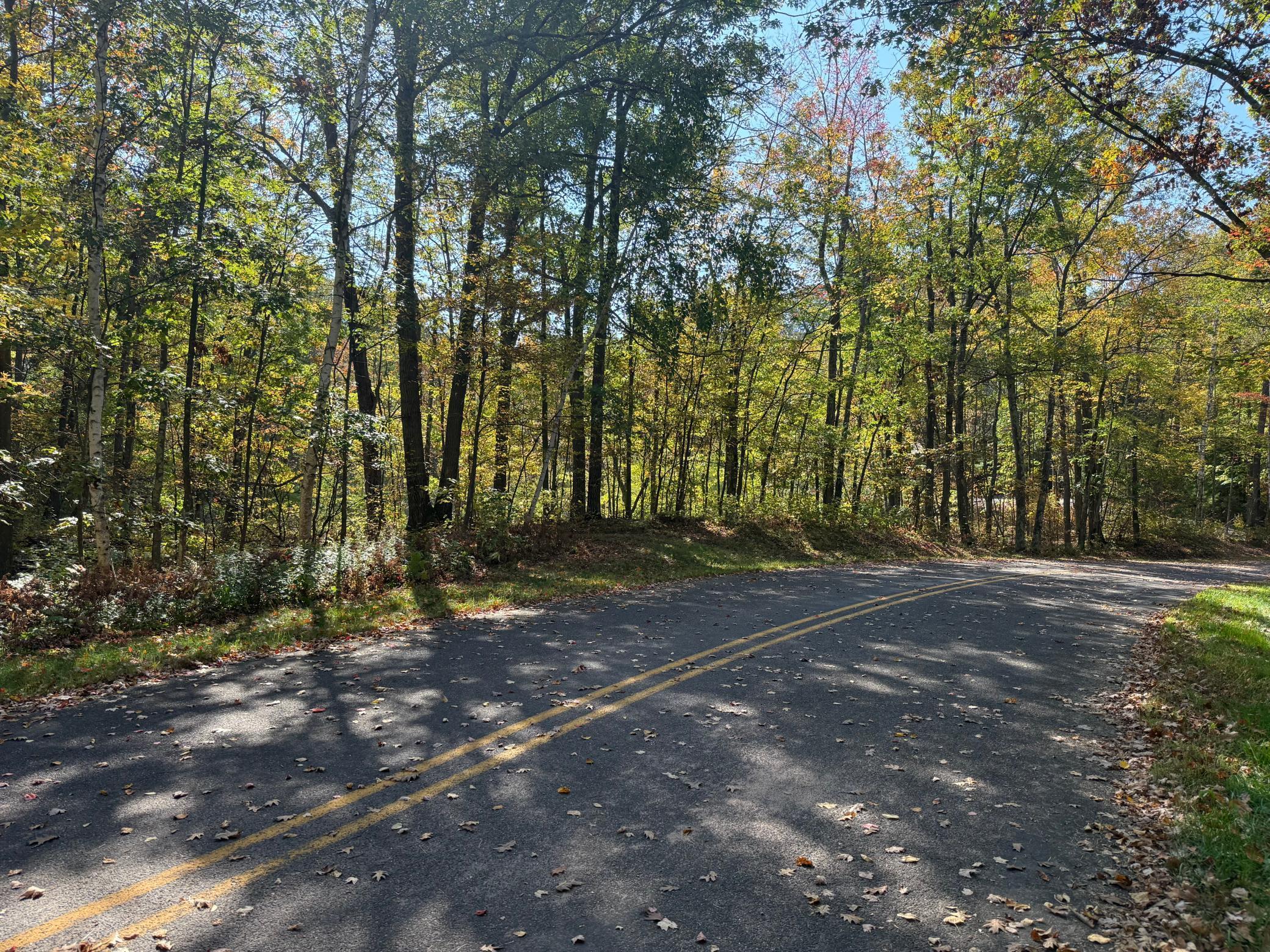 Tbd2 Deep Lake Road Sarona, WI 54870 - Photo 3 of 14