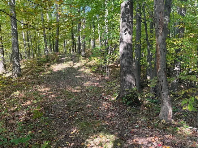 $89,900 | Tbd2 Deep Lake Road, Sarona, WI 54870