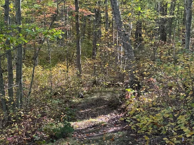 $89,900 | Tbd2 Deep Lake Road, Sarona, WI 54870