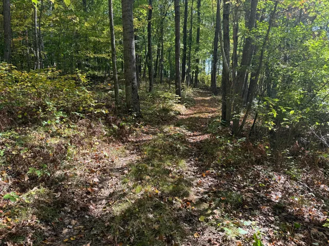 $89,900 | Tbd2 Deep Lake Road, Sarona, WI 54870