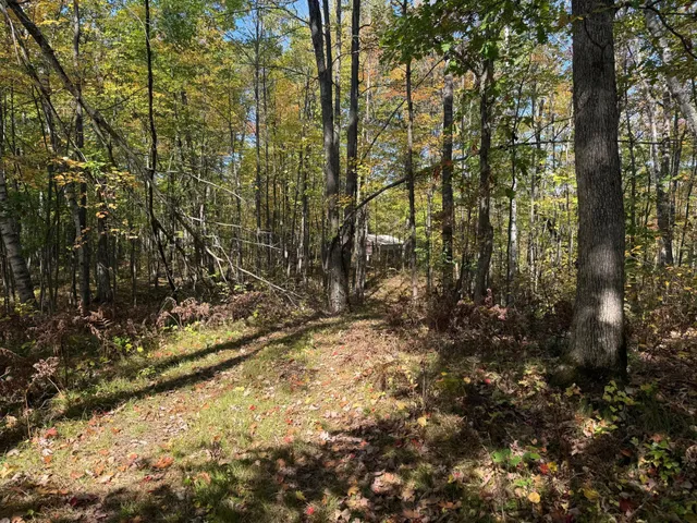 $89,900 | Tbd2 Deep Lake Road, Sarona, WI 54870