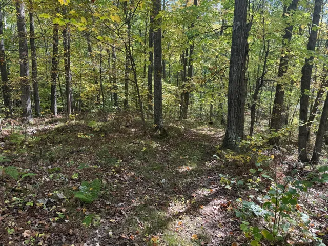 $89,900 | Tbd2 Deep Lake Road, Sarona, WI 54870