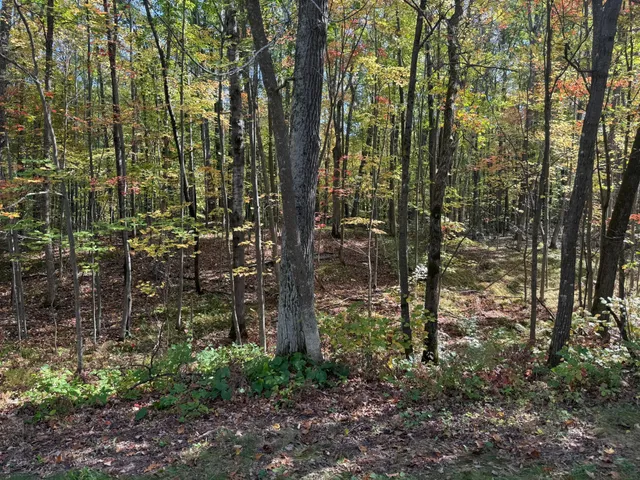 $89,900 | Tbd2 Deep Lake Road, Sarona, WI 54870