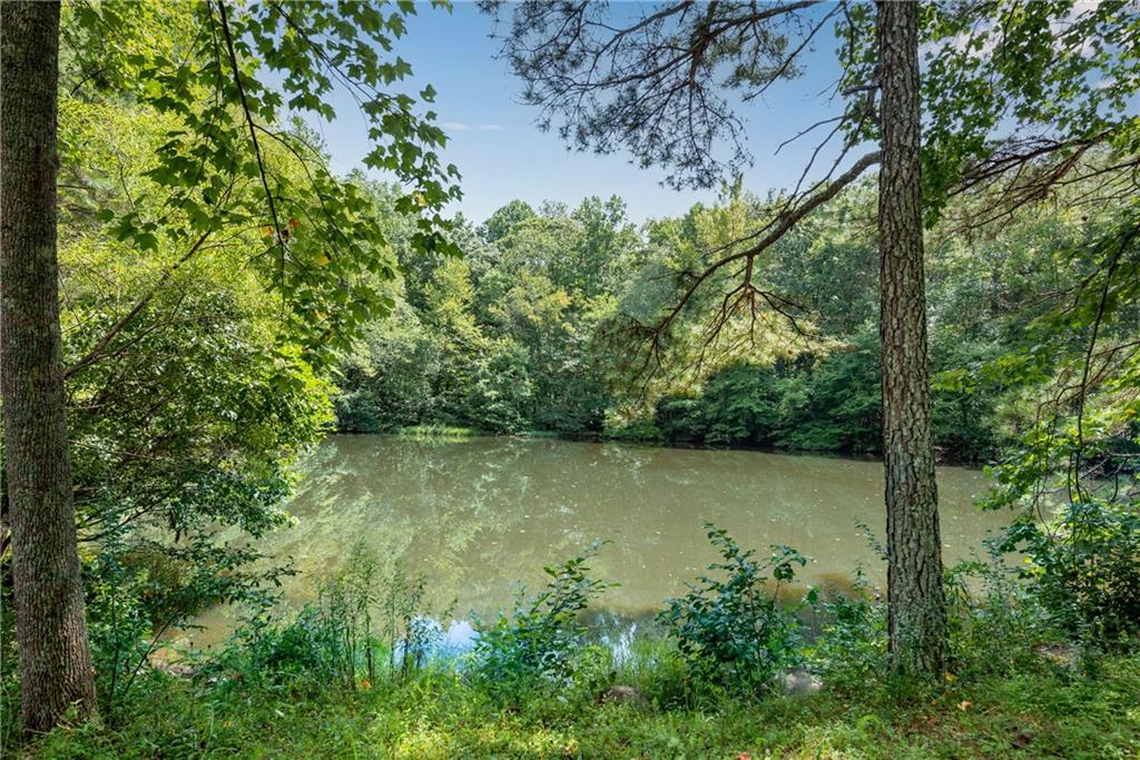 2600 Burgess Road Milton, GA 30004 - Photo 1 of 1 a view of a lake with a tree