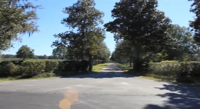 a view of street with trees