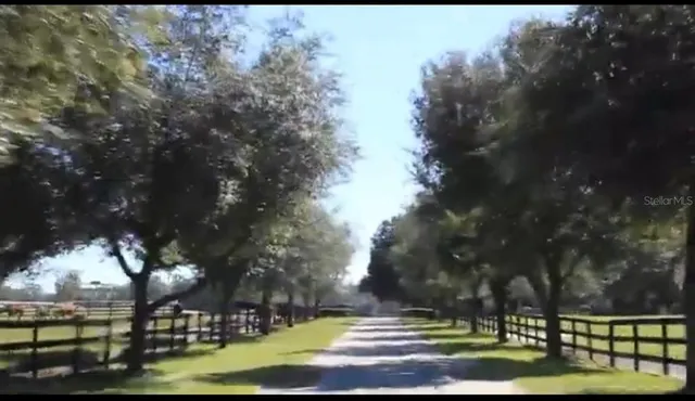 a view of a yard in front of the house
