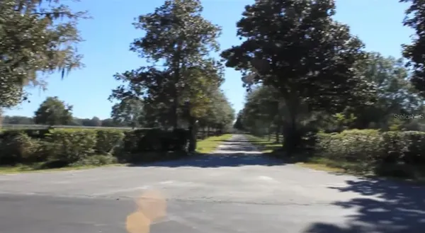 a view of street with trees