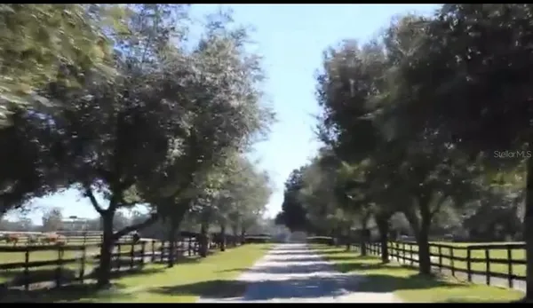 a view of a yard in front of the house