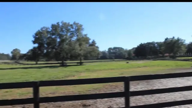 a view of a park with large trees