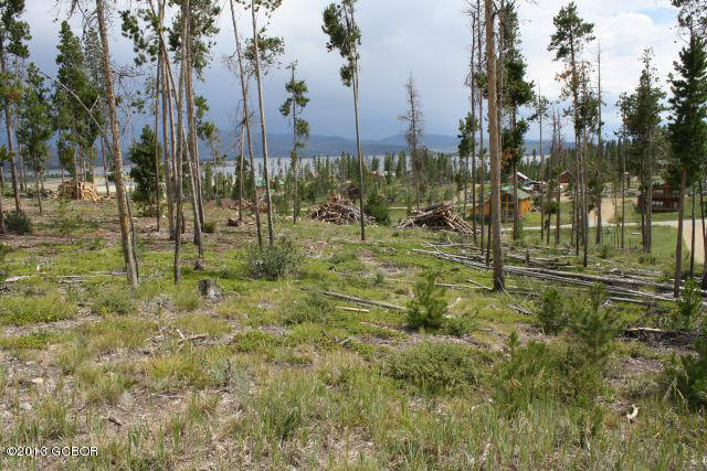 96 Co Road Grand Lake, CO 80447 - Photo 3 of 3 Lot