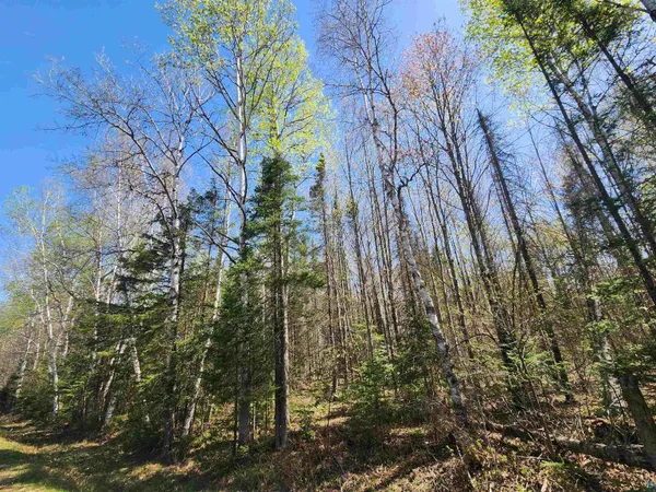 $79,900 | 713-xx Oulu Rock Road, Brule, WI 54820