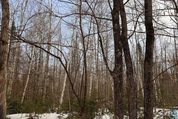 $79,900 | 713-xx Oulu Rock Road, Brule, WI 54820