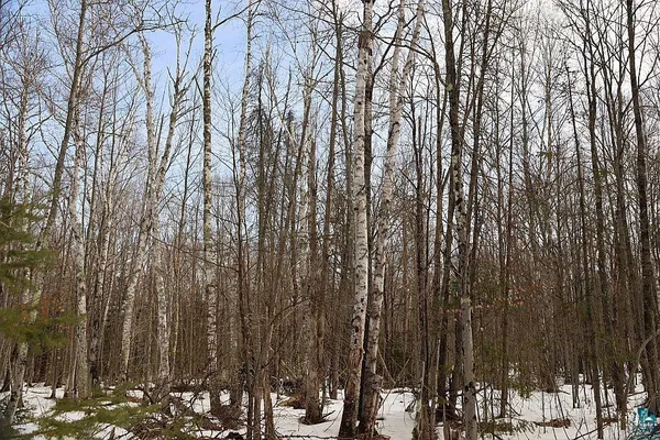 $79,900 | 713-xx Oulu Rock Road, Brule, WI 54820