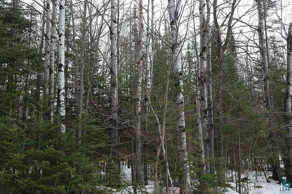 $79,900 | 713-xx Oulu Rock Road, Brule, WI 54820