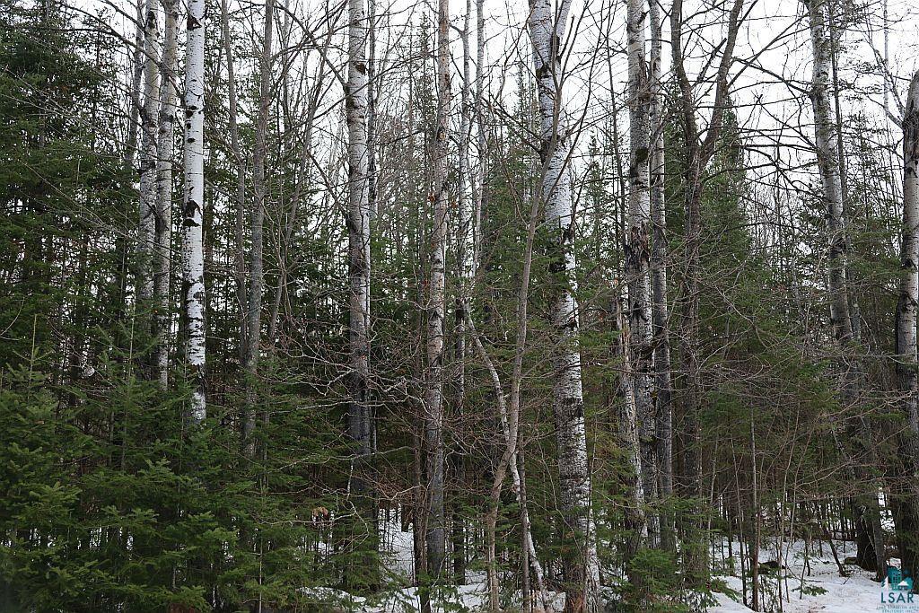 713-xx Oulu Rock Road Brule, WI 54820 - Photo 12 of 12