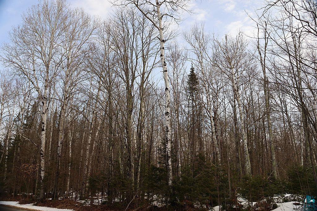 713-xx Oulu Rock Road Brule, WI 54820 - Photo 13 of 20