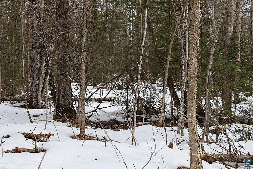 713-xx Oulu Rock Road Brule, WI 54820 - Photo 15 of 20