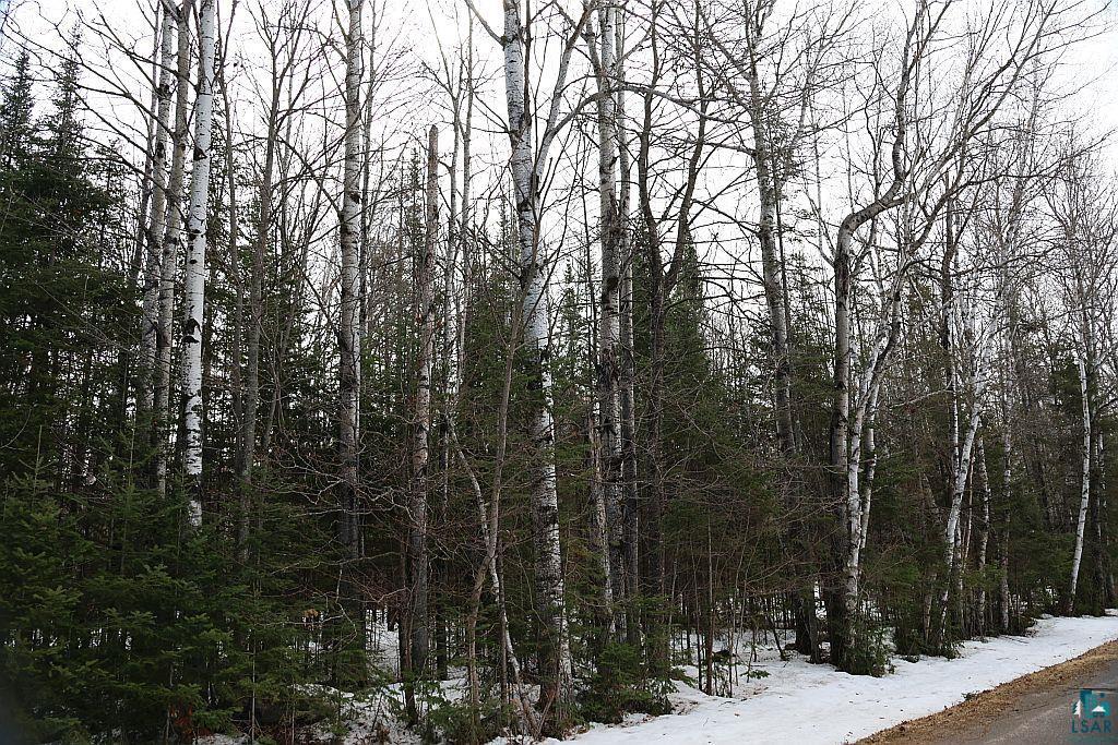 713-xx Oulu Rock Road Brule, WI 54820 - Photo 20 of 20