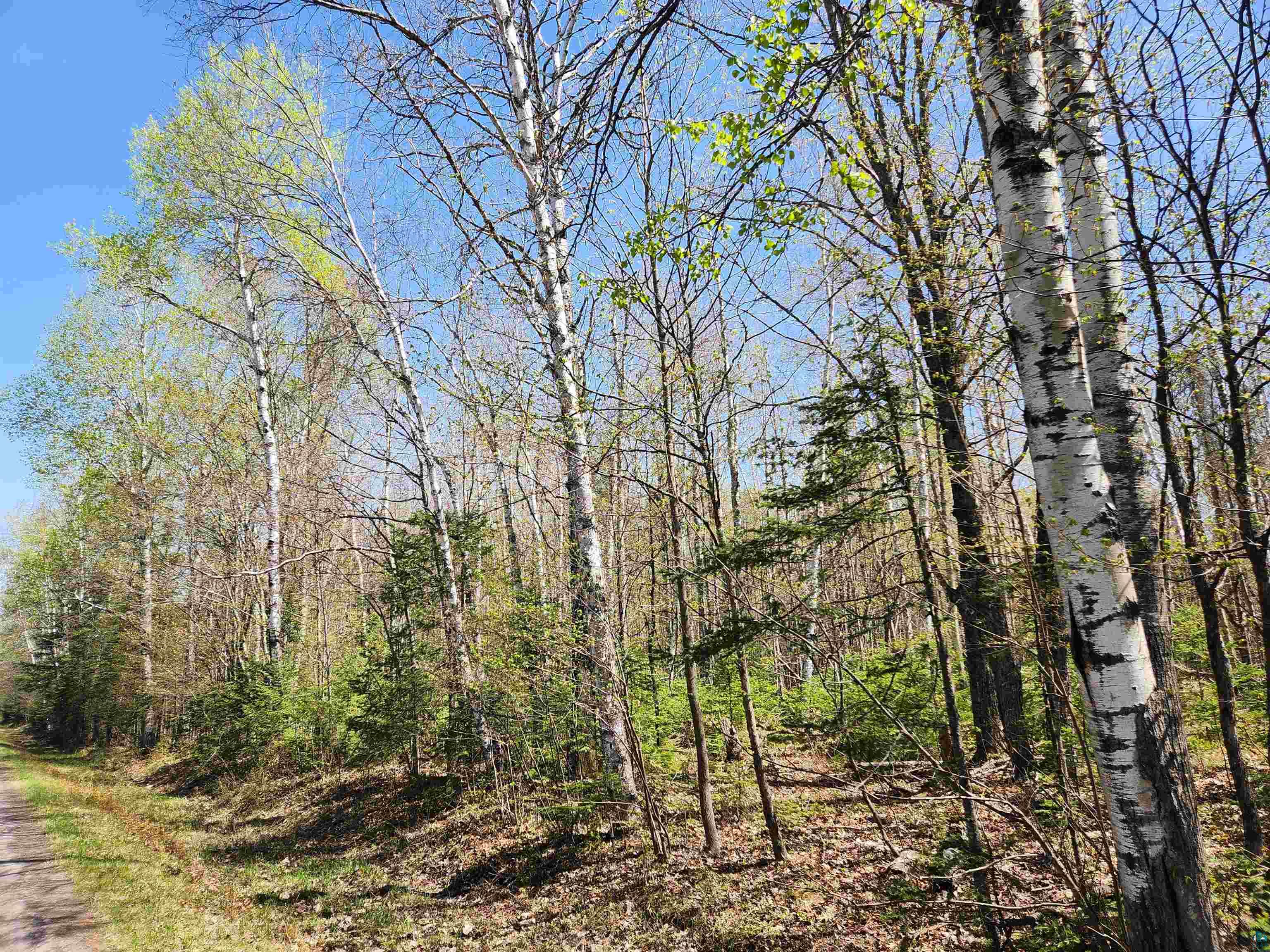 713-xx Oulu Rock Road Brule, WI 54820 - Photo 2 of 22