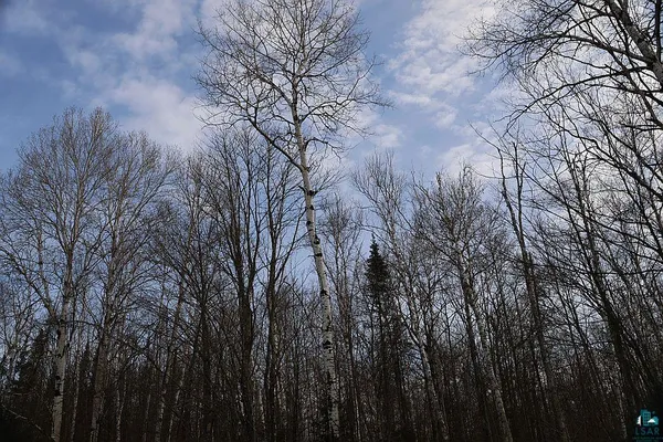 $79,900 | 713-xx Oulu Rock Road, Brule, WI 54820