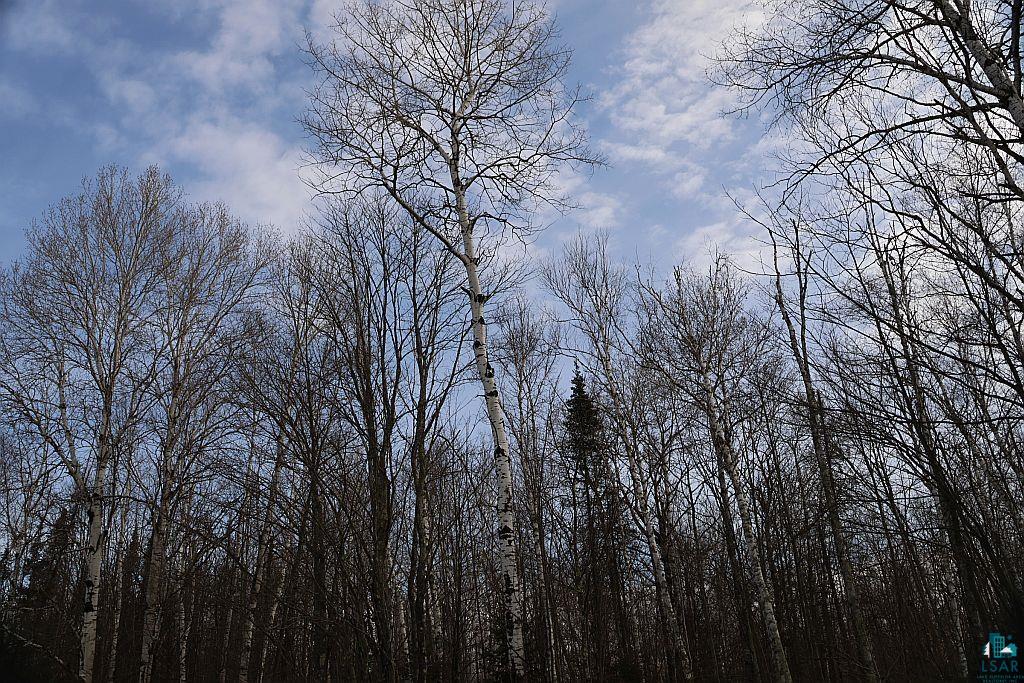 713-xx Oulu Rock Road Brule, WI 54820 - Photo 3 of 12