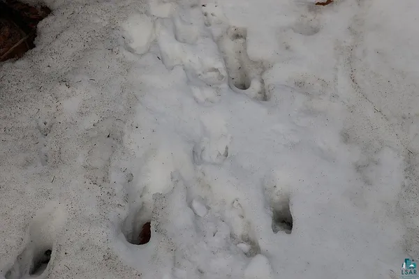 $79,900 | 713-xx Oulu Rock Road, Brule, WI 54820