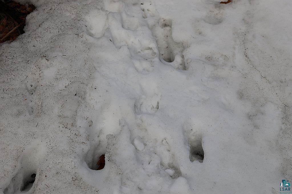 713-xx Oulu Rock Road Brule, WI 54820 - Photo 4 of 12