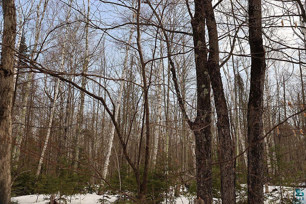 713-xx Oulu Rock Road Brule, WI 54820 - Photo 4 of 20