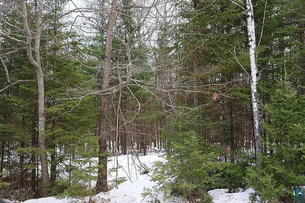 $79,900 | 713-xx Oulu Rock Road, Brule, WI 54820