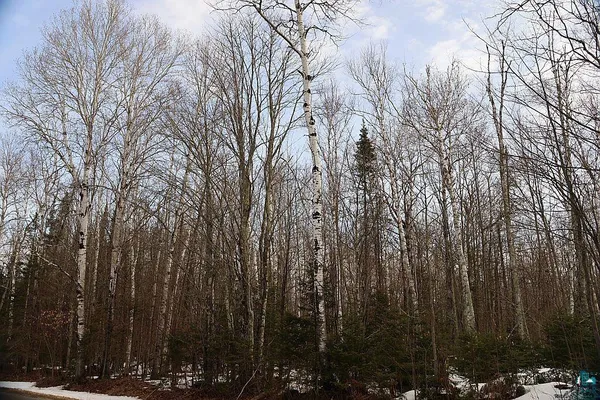 $79,900 | 713-xx Oulu Rock Road, Brule, WI 54820