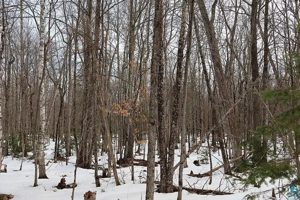 $79,900 | 713-xx Oulu Rock Road, Brule, WI 54820