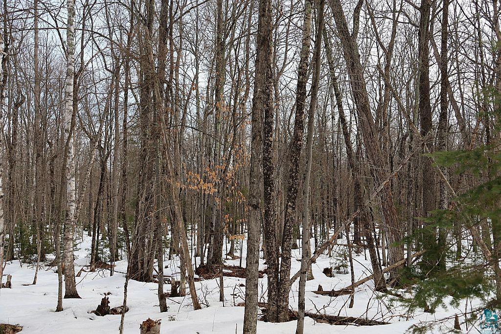 713-xx Oulu Rock Road Brule, WI 54820 - Photo 7 of 12