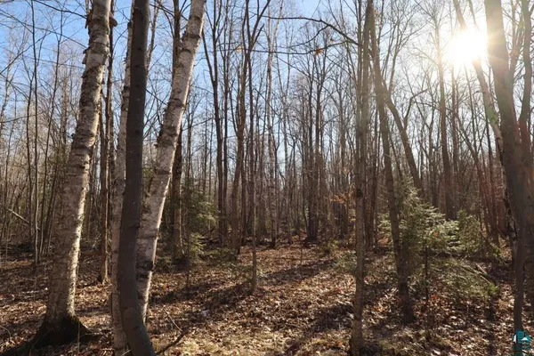 $79,900 | 713-xx Oulu Rock Road, Brule, WI 54820
