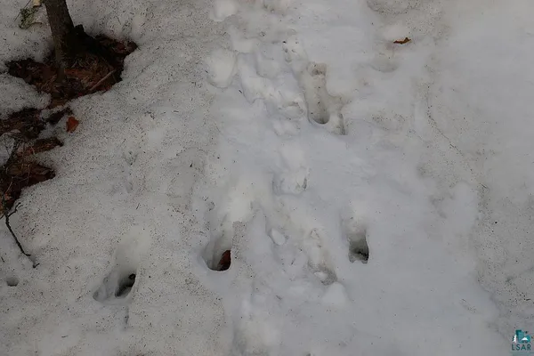 $79,900 | 713-xx Oulu Rock Road, Brule, WI 54820