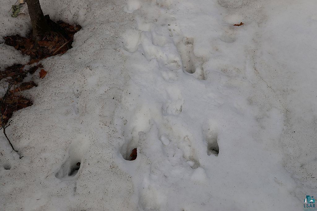 713-xx Oulu Rock Road Brule, WI 54820 - Photo 9 of 12