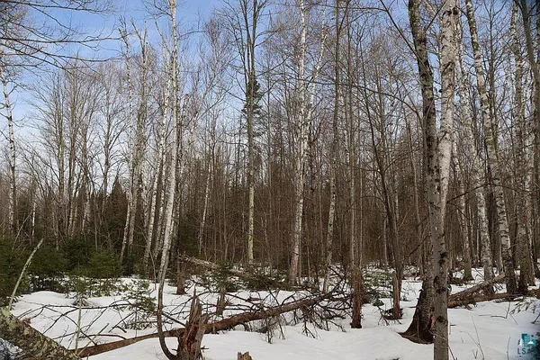 $79,900 | 713-xx Oulu Rock Road, Brule, WI 54820