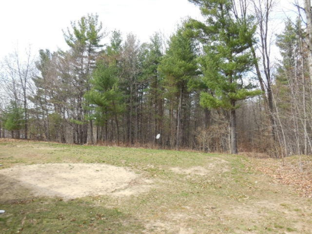 77 Maple Ridge Road Newaygo, MI 49337 - Photo 21 of 21 263-395120 Yard
