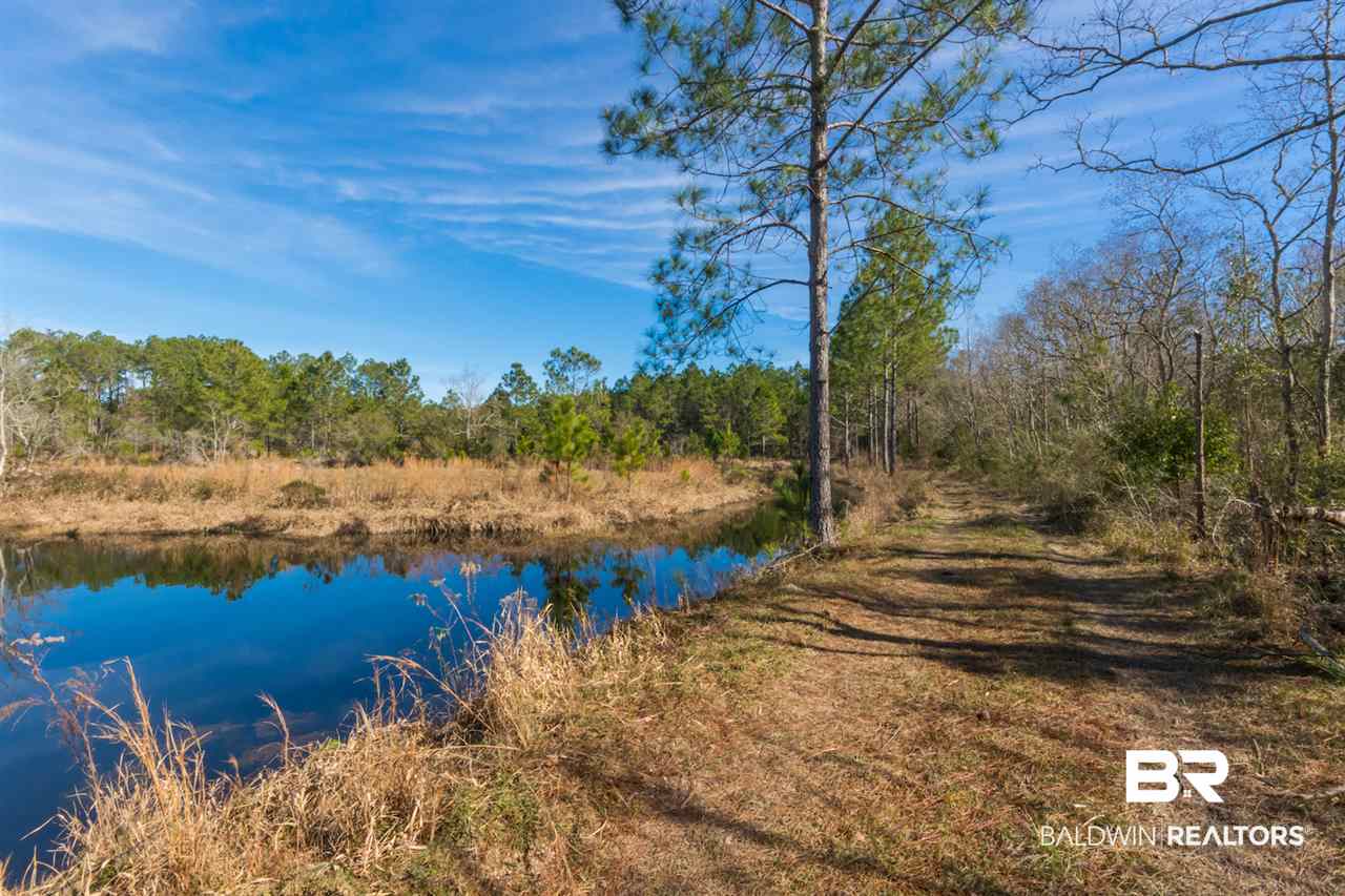 21801 County Road 28 Foley, AL 36535 - Photo 20 of 41